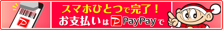 スマホひとつで完了！お支払いはpaypayで